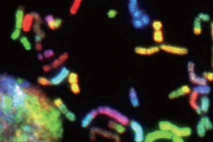 幹細胞能幹甚麼？臨床運用的玄機（下）｜曹昌堯醫學博士專欄